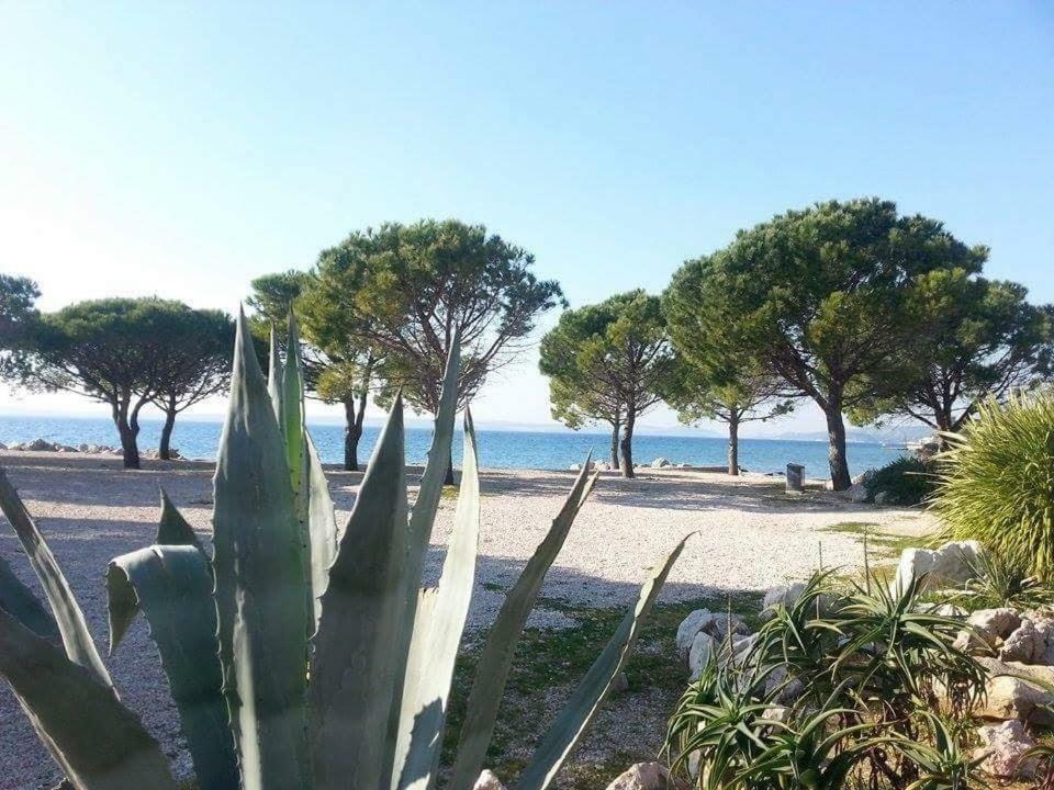 Apartment Dora Crikvenica Exterior photo